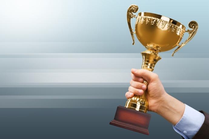 Which would hold more weight to you in getting one of these prestigious service awards?