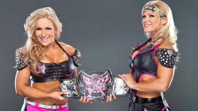Who is the better Tag Team in Wrestling History?