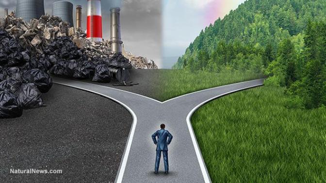 "Because corporations cannot be trusted to voluntarily protect the environment, they require regulation." Do you agree/disagree with this statement?