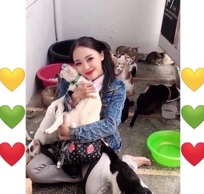 Are you a dog or a cat person?