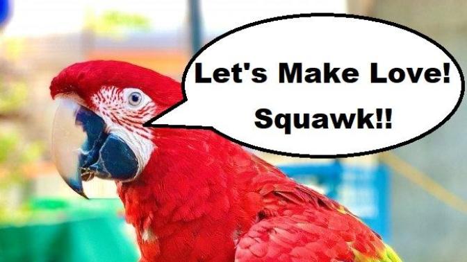 Can a Parrot Consent to Romance?