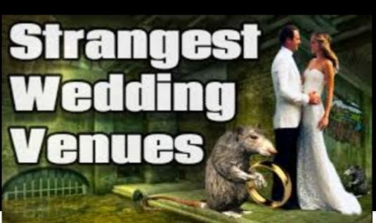 Wheres One Place You Would Never Get Married?