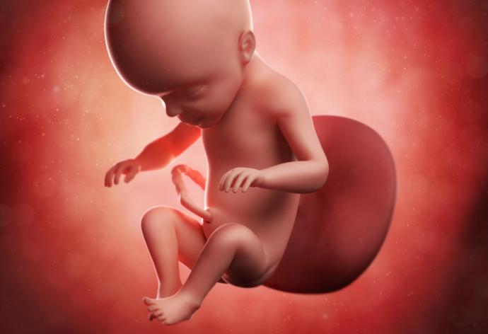 Are you pro choice or pro life?
