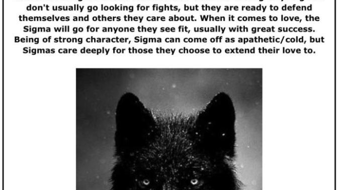 Thoughts on the Sigma social/socio-sexual hierarchy?