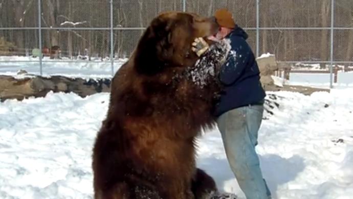 Would you go to a two way petting zoo where the animal can pet you right back?