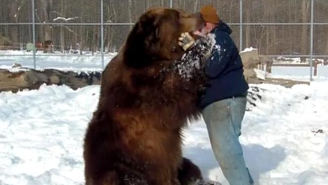 Would you go to a two way petting zoo where the animal can pet you right back?