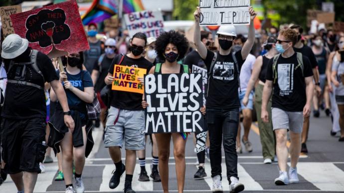 Do BLM protestors/rioters have jobs?