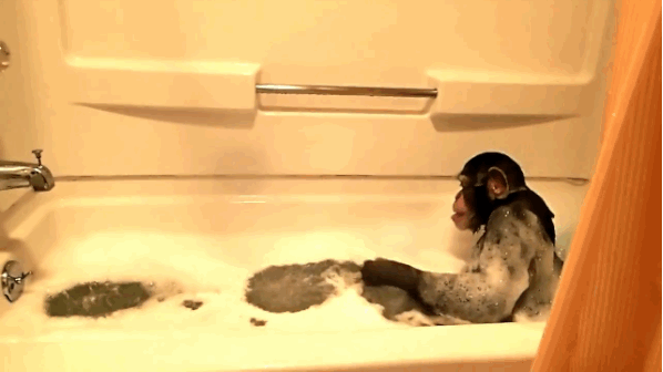 Bubble bath or Shower?