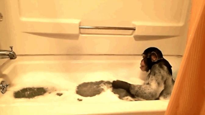 Bubble bath or Shower?