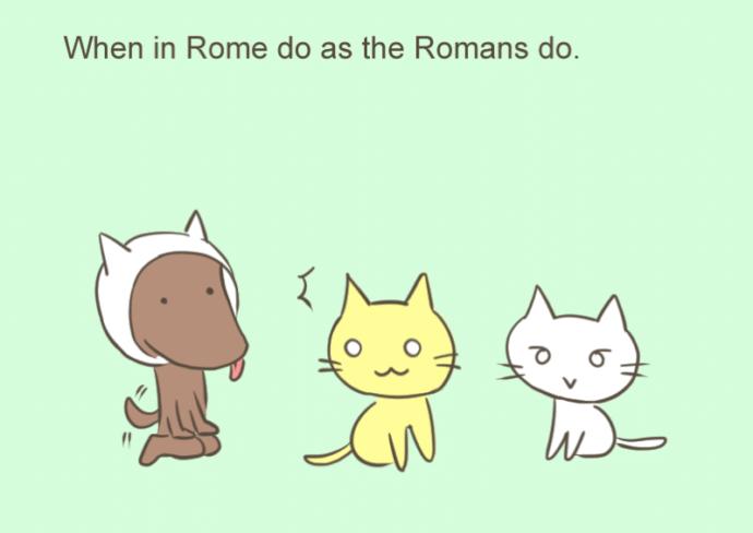 Do you agree with the idiom When in Rome, do as the Romans do?
