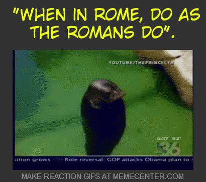 Do you agree with the idiom When in Rome, do as the Romans do?