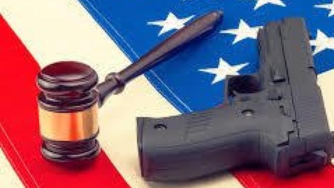 Do you support federal gun law nullification or the SAPA bill?