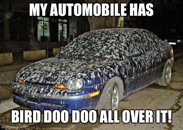 How would you react if you had a friend or coworker who kept using the word “automobile” instead of just “car”?