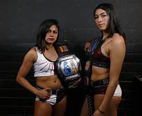 Who is the better Impact Wrestling female duo?
