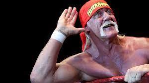 The  best entertainer  in wrestling history  ?