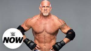 The  best entertainer  in wrestling history  ?