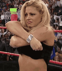 The best entertainer in wrestling history ?