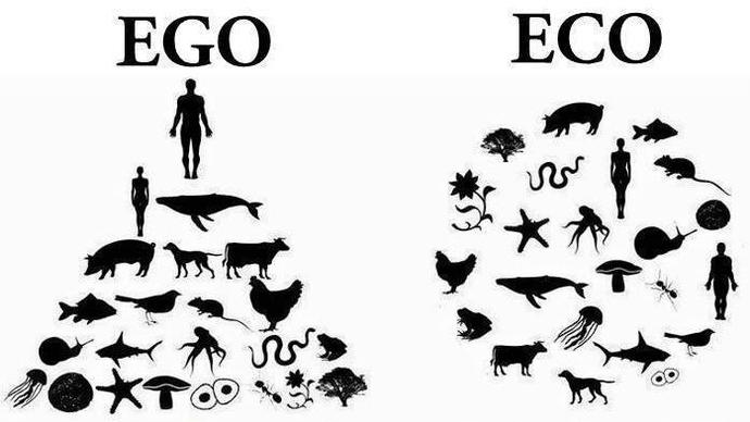 Who is superior? Man or woman?