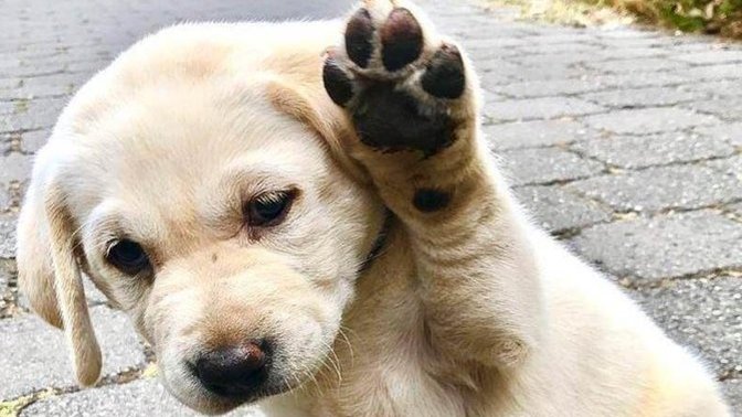 If You Could Give A G@G Member A Virtual HIGH FIVE Who Would You Give It To?