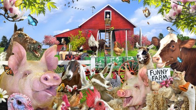 If You Inherited A Farm & You Could Farm Anything You Wanted To What Would You Farm?
