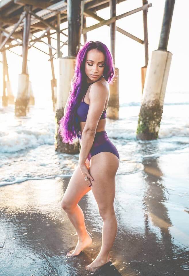 Who is the better female in ring performer in World Wrestling Entertainment History?