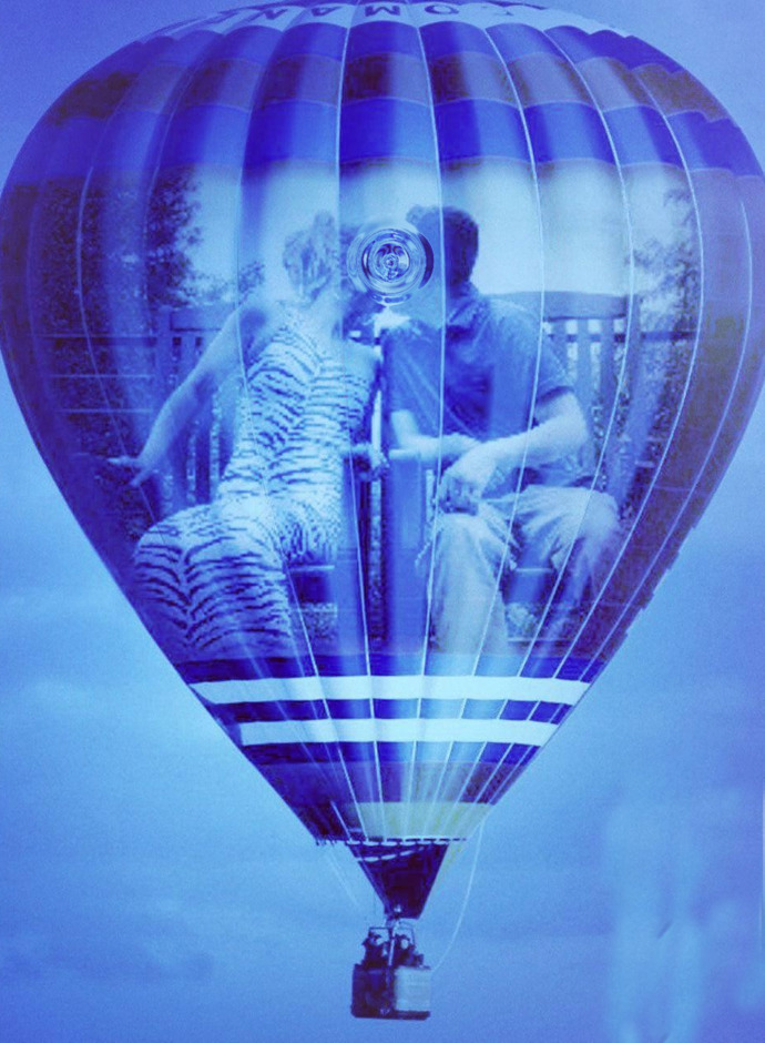 Which is the most important to you?