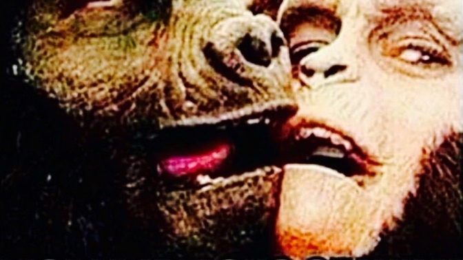 Would you support creating a dating app for ugly people to date other ugly people?