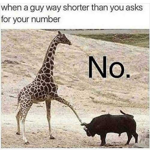 The honesty test, girls would you date a guy who is 5.3 ft (162 cm) tall?