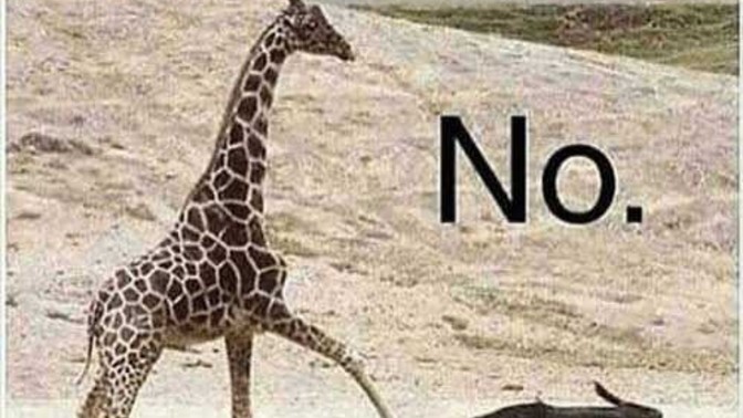 The honesty test, girls would you date a guy who is 5.3 ft (162 cm) tall?