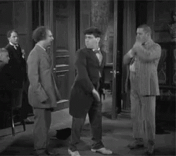 Do you think women comedians in general can pull off slap stick humor and be funny at it?