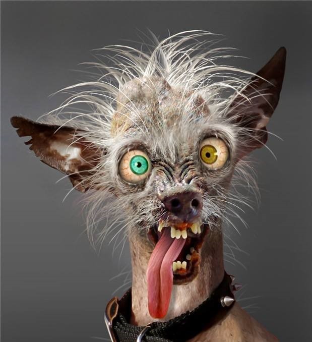 Hey baby, how about a little kiss!