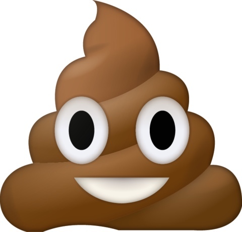 Ugly ones are bishes too?