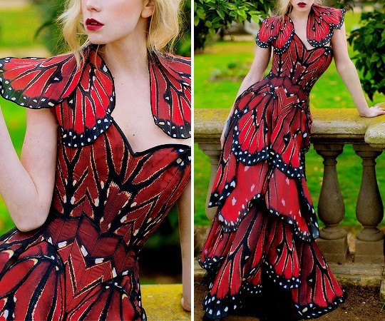 Which butterfly dress fashion looks the most interesting?