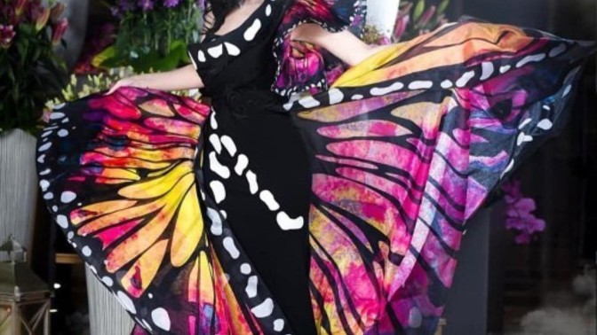 Which butterfly dress fashion looks the most interesting?
