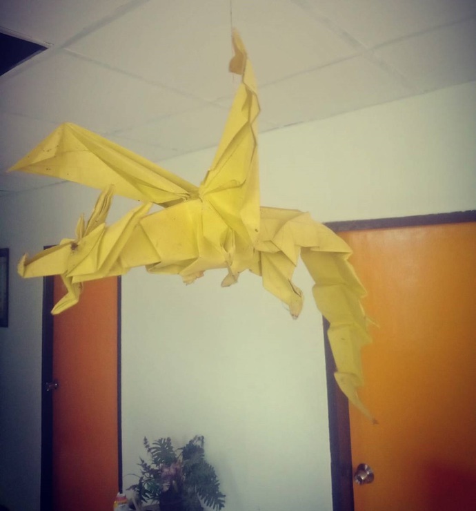 What's the coolest thing in your room?