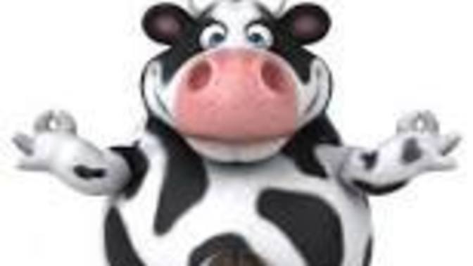 Can a Cow-Man be a GOD 🐄🐄🤠? 💁‍♀️?