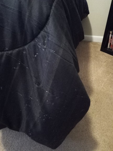What is the best way to stop my cat from clawing the corner of my bed?