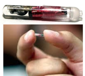 Do you actually think the covid vaccine has a tracking chip?