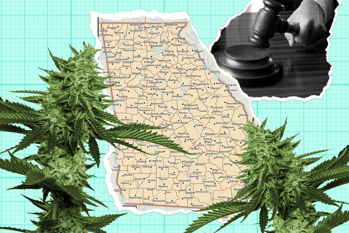 Should marijuana be legalized everywhere for medical purposes?