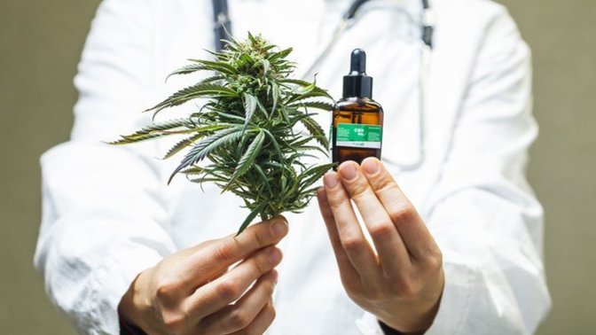 Should marijuana be legalized everywhere for medical purposes?