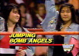 Who is the better tag team in World Wrestling Entertainment / Wrestling History?