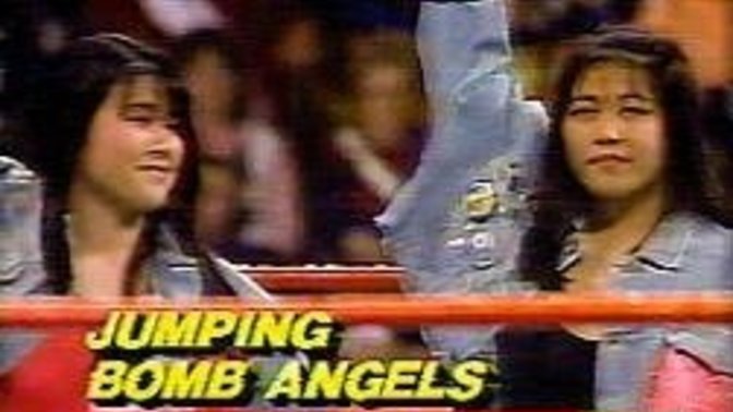 Who is the better tag team in World Wrestling Entertainment / Wrestling History?