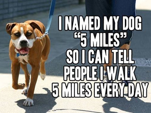 Do You Prefer To Walk, Jog Or Run For Exercise?