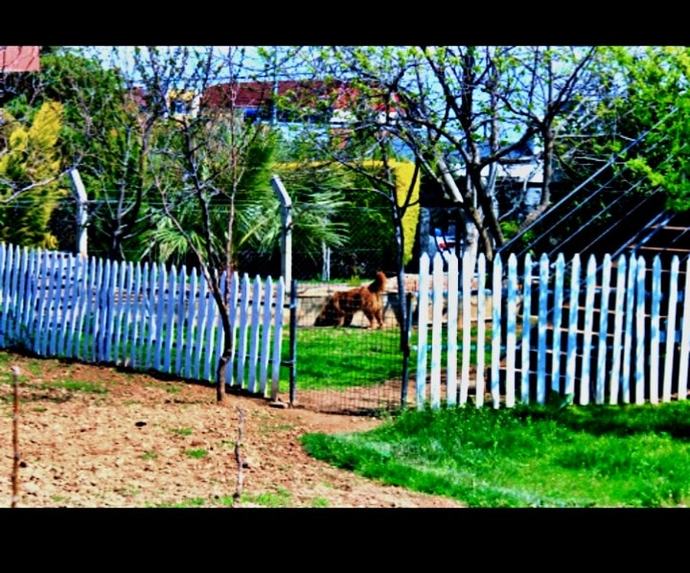 There is a school in Turkey. The name of the place is Tomorrows World Kindergarten, friends. Do you think its nice there?