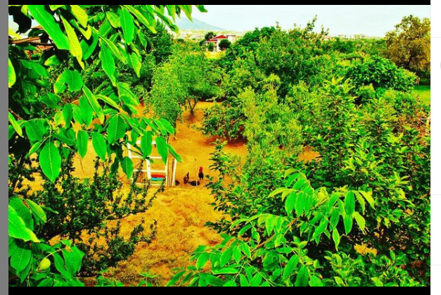 There is a school in Turkey. The name of the place is Tomorrows World Kindergarten, friends. Do you think its nice there?