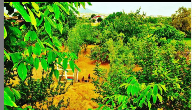 There is a school in Turkey. The name of the place is Tomorrow's World Kindergarten, friends. Do you think it's nice there?