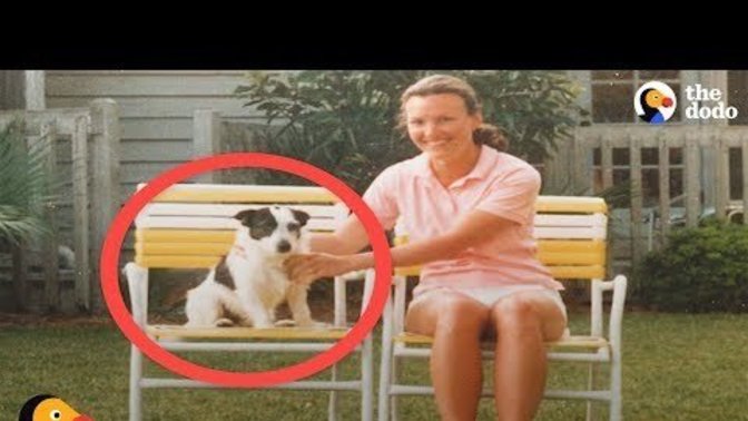Do believe pets have souls too after they die?