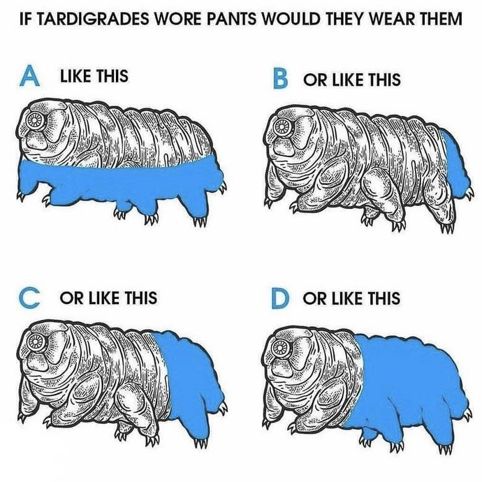 If tardigrades wore pants how would they wear them?