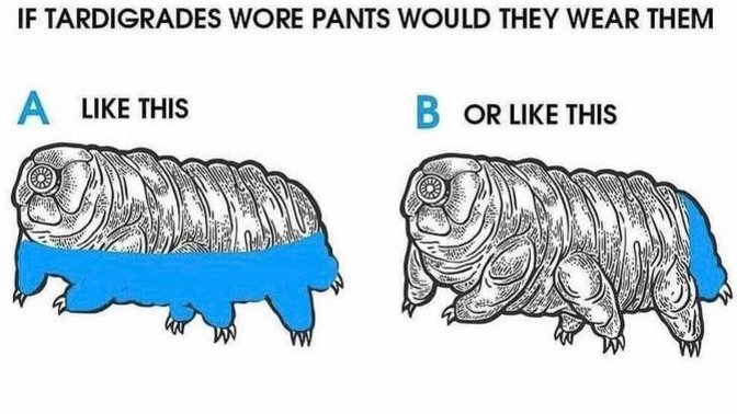 If tardigrades wore pants how would they wear them?