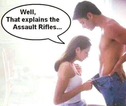 Do you like bows or guns and why?
